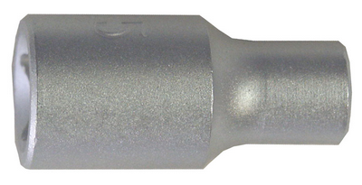 Ořech 1/4" TORX E10  COXT568910